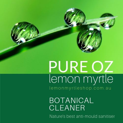 Botanical Cleaner Value Spray Pack