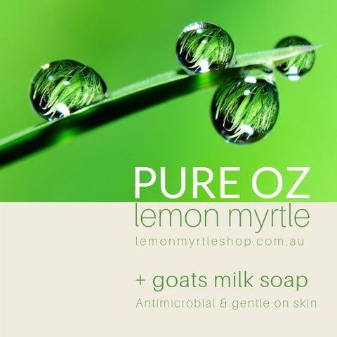 100% Pure Lemon Myrtle & Goats Milk Soap