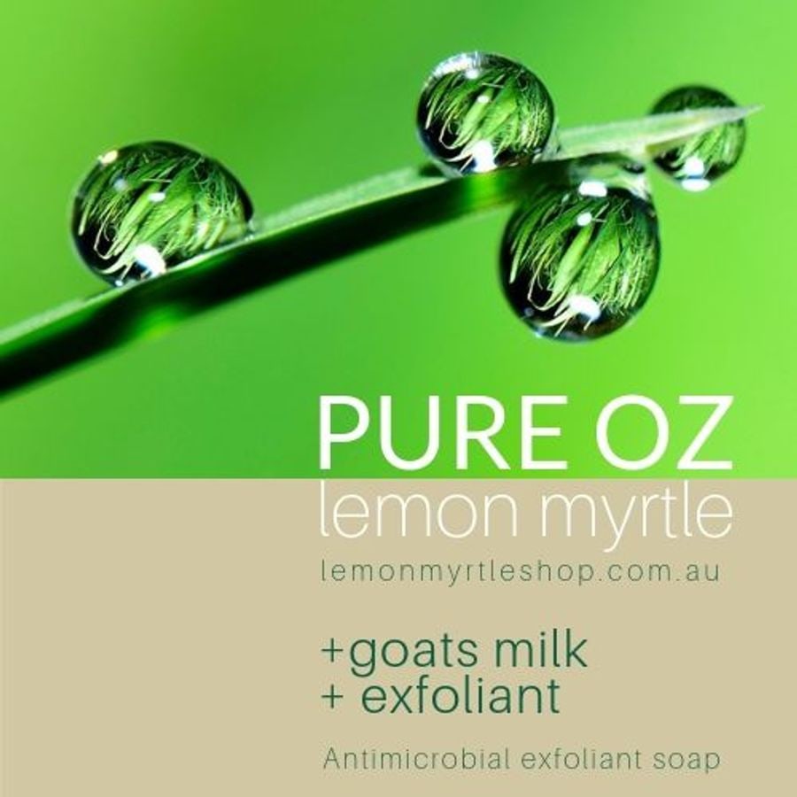 Organic exfoliating goats milk soap bar