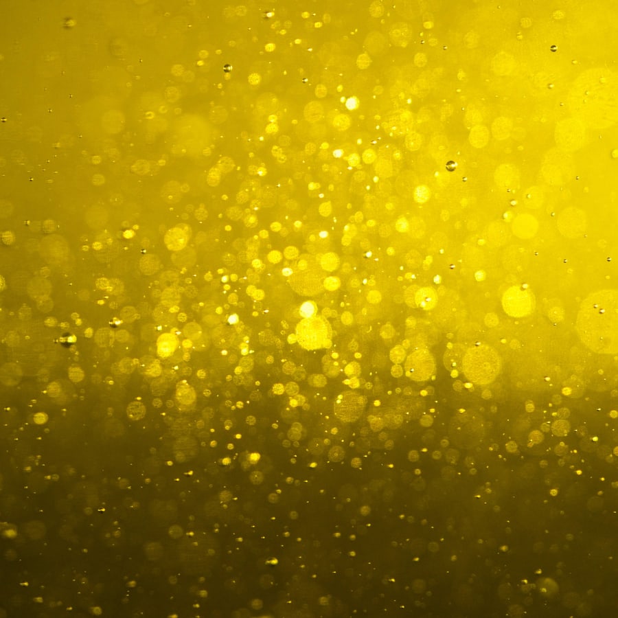Golden lemon myrtle oil close-up
