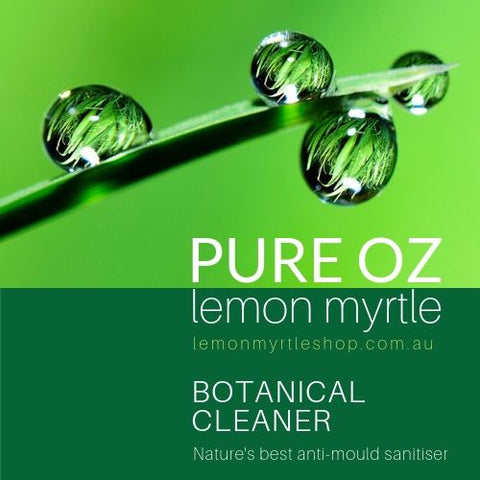 Botanical Cleaner Value Spray Pack