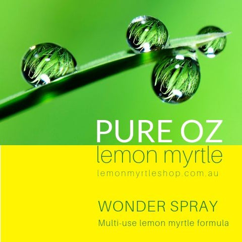 Wonder Spray Value Pack